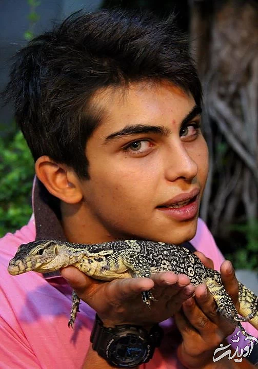 ارسلان قاسمی